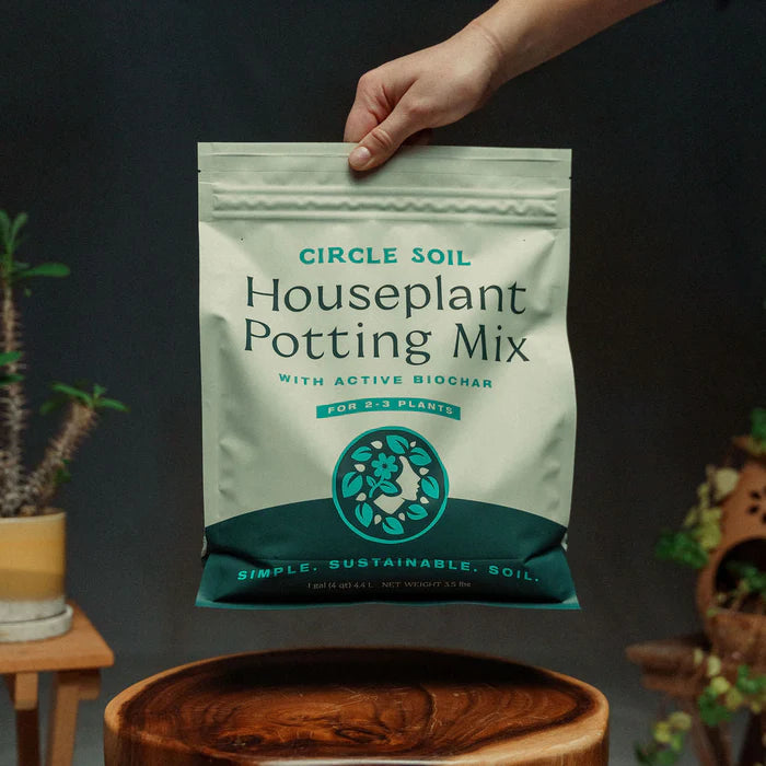 Premium Houseplant Mix