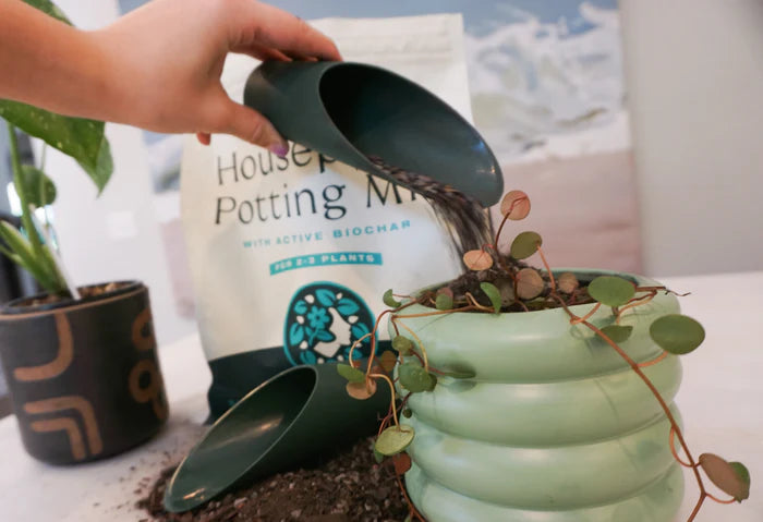 Soil Scoop